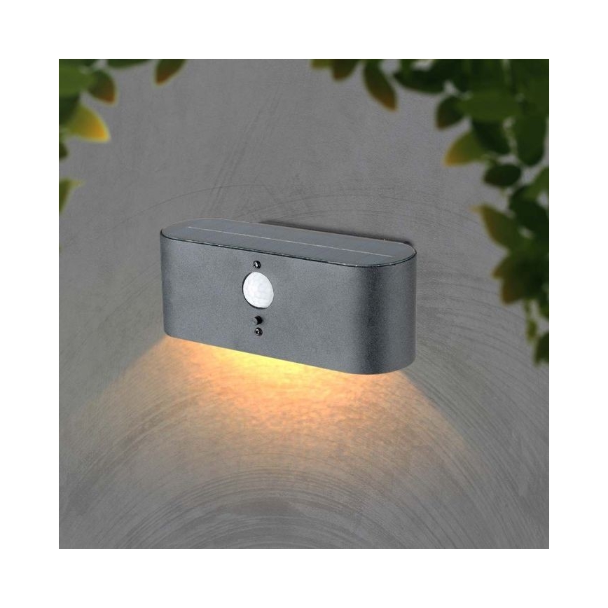 LED Außen-Solar-Wandleuchte mit Sensor LED/2,5W/3,7V 3000K IP54 2000 mAh