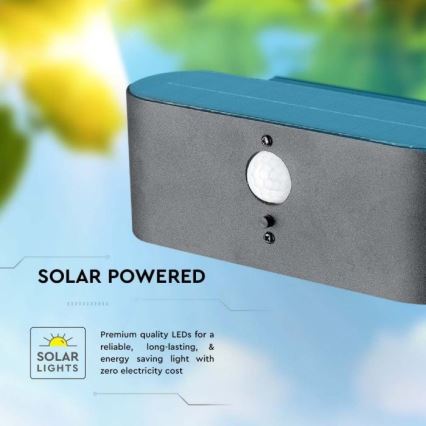 LED Außen-Solar-Wandleuchte mit Sensor LED/2,5W/3,7V 3000K IP54 2000 mAh
