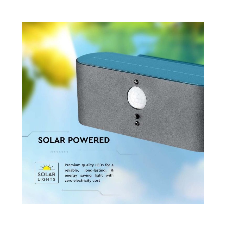 LED Außen-Solar-Wandleuchte mit Sensor LED/2,5W/3,7V 3000K IP54 2000 mAh