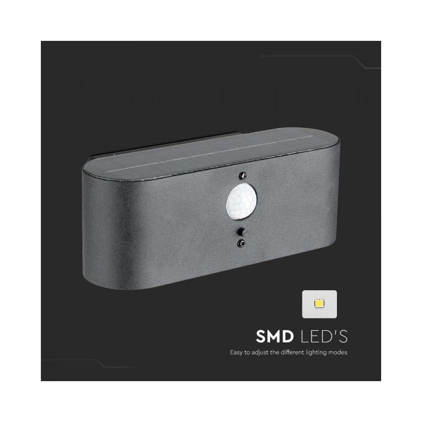 LED Außen-Solar-Wandleuchte mit Sensor LED/2,5W/3,7V 3000K IP54 2000 mAh
