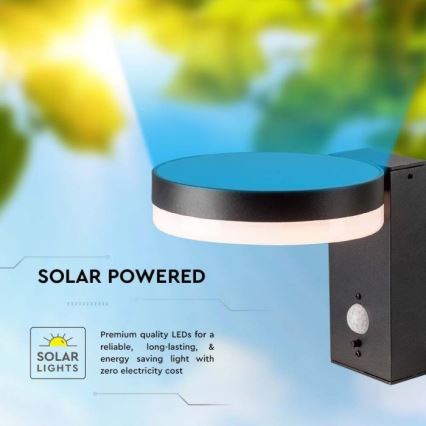 LED Außen-Solar-Wandleuchte mit Sensor LED/5,5W/3,7V 3000K IP54 2000 mAh