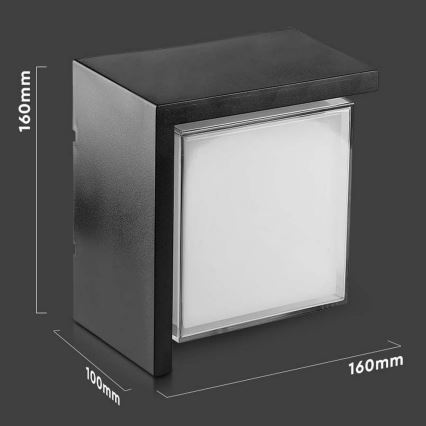 LED Außenwandleuchte LED/12W/230V 3000K IP65