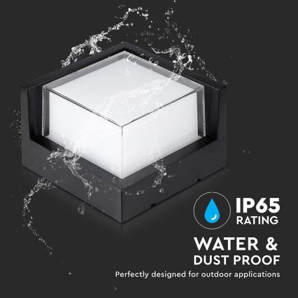 LED Außenwandleuchte LED/12W/230V 4000K IP65