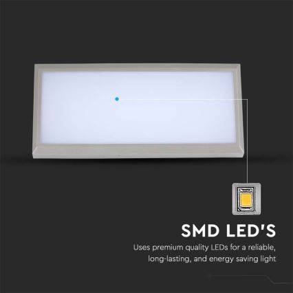 LED Außenwandleuchte LED/12W/230V 6400K IP65 grau