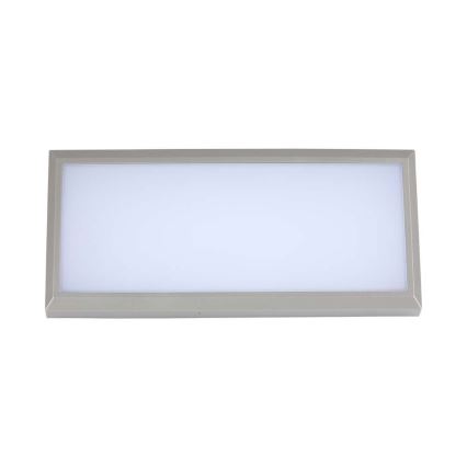 LED Außenwandleuchte LED/12W/230V 6400K IP65 grau