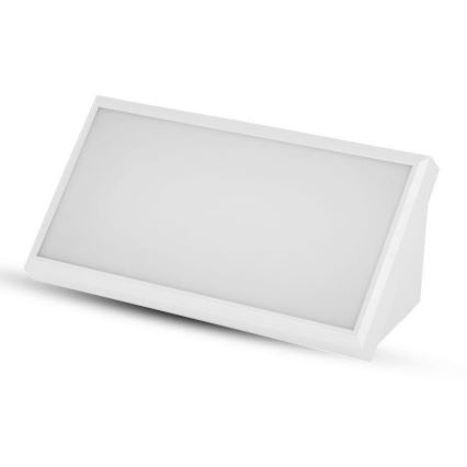 LED Außenwandleuchte LED/20W/230V 6400K IP65 Weiß