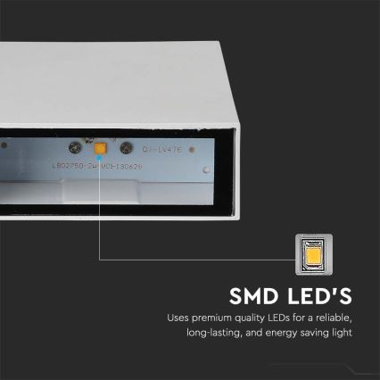 LED Außenwandleuchte LED/4W/230V 6400K IP65 Weiß