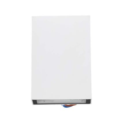 LED Außenwandleuchte LED/4W/230V 6400K IP65 Weiß