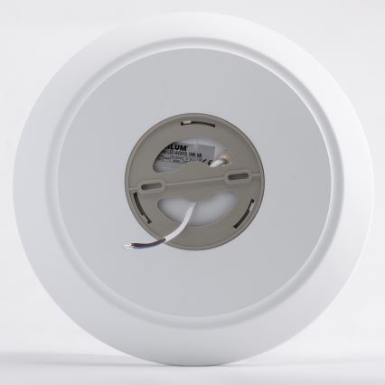 LED Badezimmer-Deckenleuchte AVESTA LED/18W/230V 4000K IP54