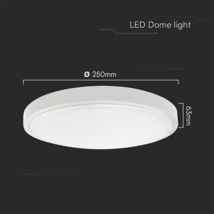 LED Badezimmer-Deckenleuchte SAMSUNG CHIP LED/18W/230V IP44 6500K Ø 25 cm Weiß