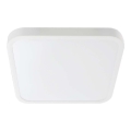 LED Badezimmer-Deckenleuchte SAMSUNG CHIP LED/18W/230V IP44 6500K 25x25 cm Weiß