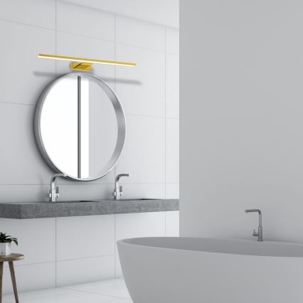 LED Badezimmerspiegel-Leuchte SHINE LED/13,8W/230V 60 cm IP44 gold
