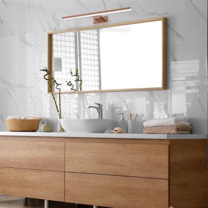 LED Badezimmerspiegelbeleuchtung SHINE LED/13,8W/230V IP44 Roségold