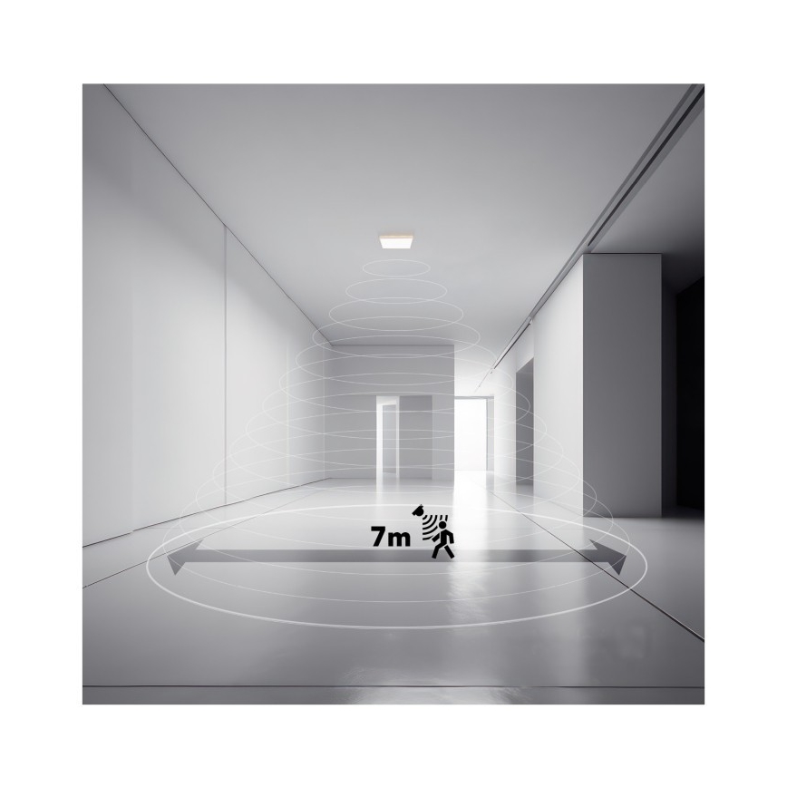 LED Badezimmerleuchte mit Bewegungs- und Dämmerungssensor NIVERA LED/12W/230V IP54 3000/4000/6000K 22,5x22,5 cm schwarz + Fernbedienung