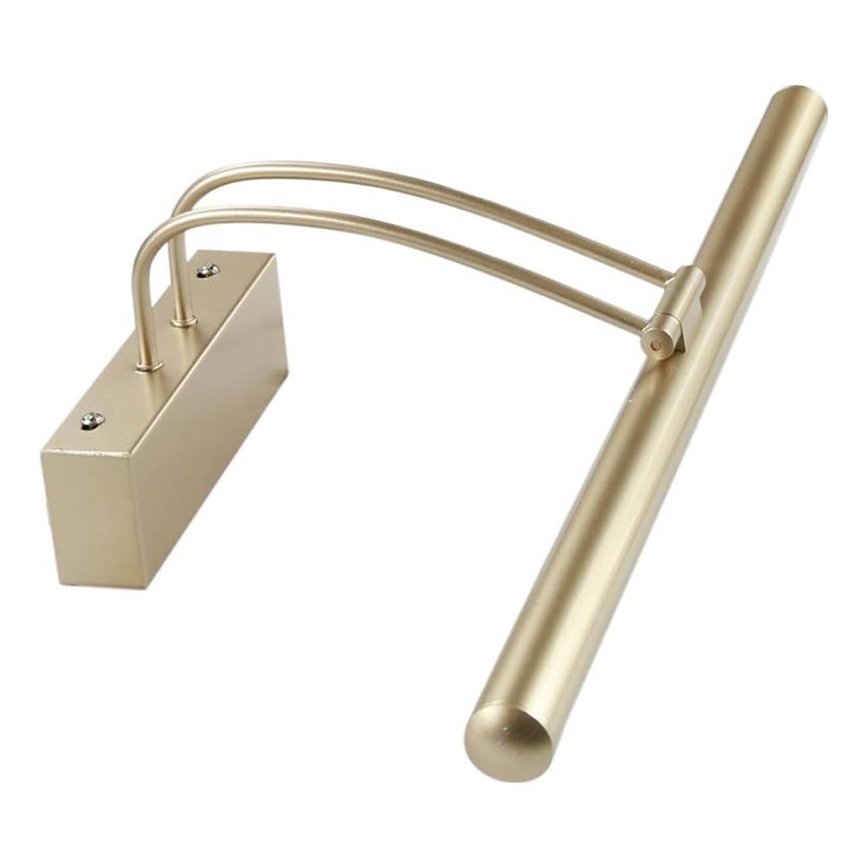 LED-Bilderleuchte RENOIR LED/8W/230V