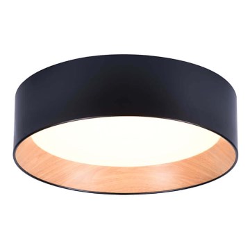 LED Deckenleuchte ARENA LED/43W/230V