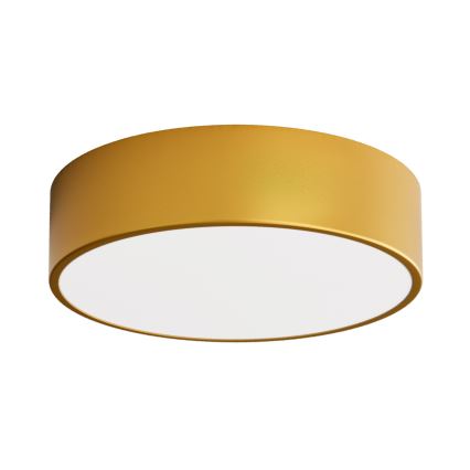 LED Deckenleuchte CLEO LED/24W/230V 4000K Ø 30 cm gold