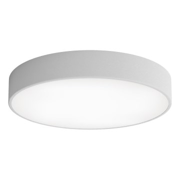 LED Deckenleuchte CLEO LED/69W/230V 3000K Ø 50 cm grau