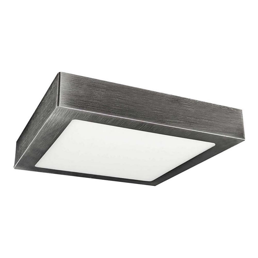 LED Deckenleuchte FENIX LED/12W/230V 3800K 17 cm