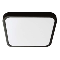 LED-Deckenleuchte für Badezimmer LED/18W/230V 3000K IP44 25x25 cm schwarz