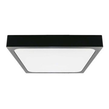 LED-Deckenleuchte für Badezimmer LED/18W/230V 6500K IP44 22,5x22,5 cm schwarz