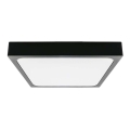 LED-Deckenleuchte für Badezimmer mit Sensor LED/18W/230V 4000K IP44 22,5x22,5 cm schwarz