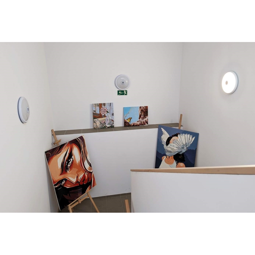 LED-Außen-Deckenleuchte mit Bewegungs- und Dämmerungssensor LED/16W/230V Ø 28,5 cm IP54 Weiß