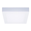LED Deckenleuchte LED/12W/230V 3000/4000/6000K 17x17 cm weiß
