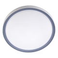LED-Deckenleuchte LED/18W/230V d 30 cm weiß/grau