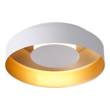 LED-Deckenleuchte LED/20W/230V 3000K weiß