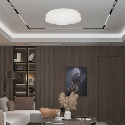 LED-Deckenleuchte LED/24W/230V 4000K d 45 cm weiß