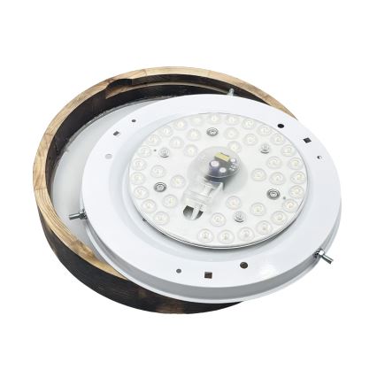 LED-Deckenleuchte OAK SLIM LED/20W/230V 4000K Ø 27 cm Eiche/dunkelbraun
