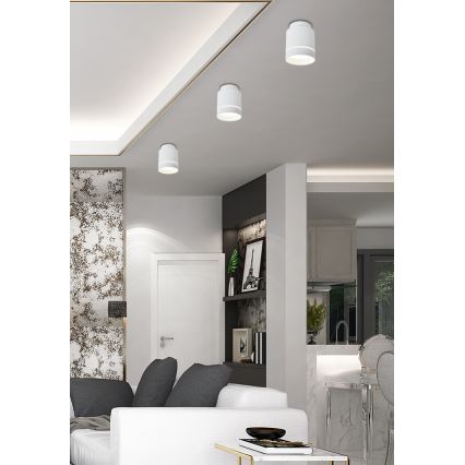 LED Deckenleuchte TUBA LED/12W/230V