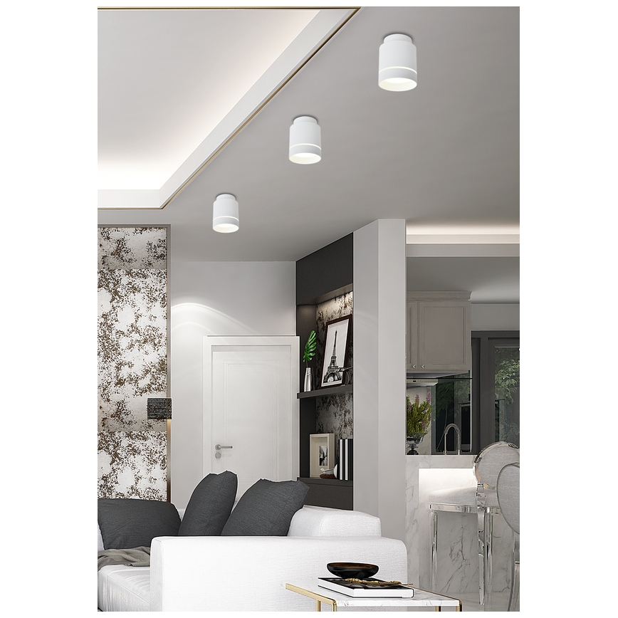 LED Deckenleuchte TUBA LED/12W/230V