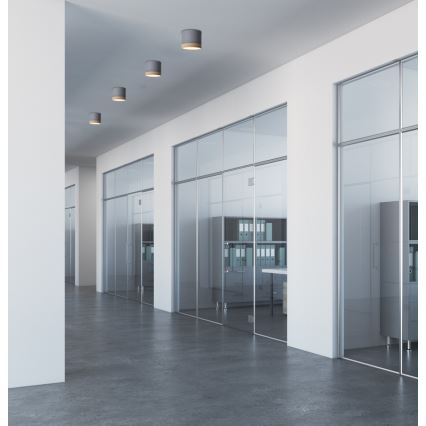 LED Deckenleuchte TUBA LED/9W/230V