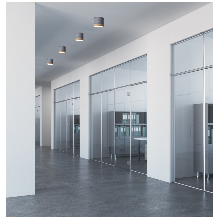 LED Deckenleuchte TUBA LED/9W/230V