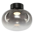 LED-Deckenleuchte VASO LED/4W/230V d 18 cm schwarz/rauchig