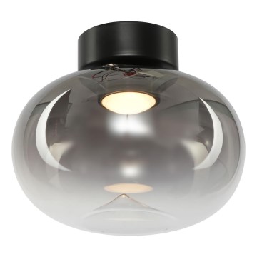 LED-Deckenleuchte VASO LED/4W/230V d 18 cm schwarz/rauchig
