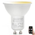 LED-Dimmable-Glühbirne GU10/6,5W/230V 2700-6500K - Aigostar