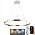 LED dimmbare Hängeleuchte an Kabel LED/100W/230V 3000-6500K Ø 80 cm + Fernbedienung