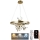 LED dimmbare Hängeleuchte an Seil LED/40W/230V 3000-6500K gold + Fernbedienung