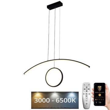 LED dimmbare Hängeleuchte an Seil LED/55W/230V 3000-6500K + Fernbedienung