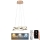 LED dimmbare Hängeleuchte an Seil LED/65W/230V 3000-6500K Ø 48 cm goldfarben + Fernbedienung