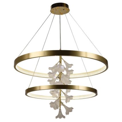LED dimmbare Hängeleuchte an Seil LED/100W/230V 3000-6500K + Fernbedienung