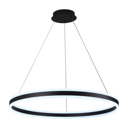 LED dimmbare Hängeleuchte an Seil LED/110W/230V 3000-6500K Ø 80 cm + Fernbedienung