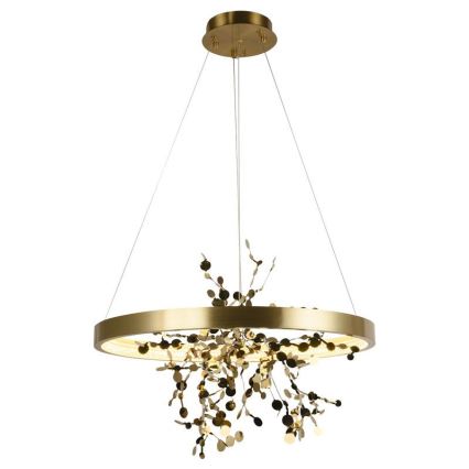 LED dimmbare Hängeleuchte an Seil LED/40W/230V 3000-6500K gold + Fernbedienung