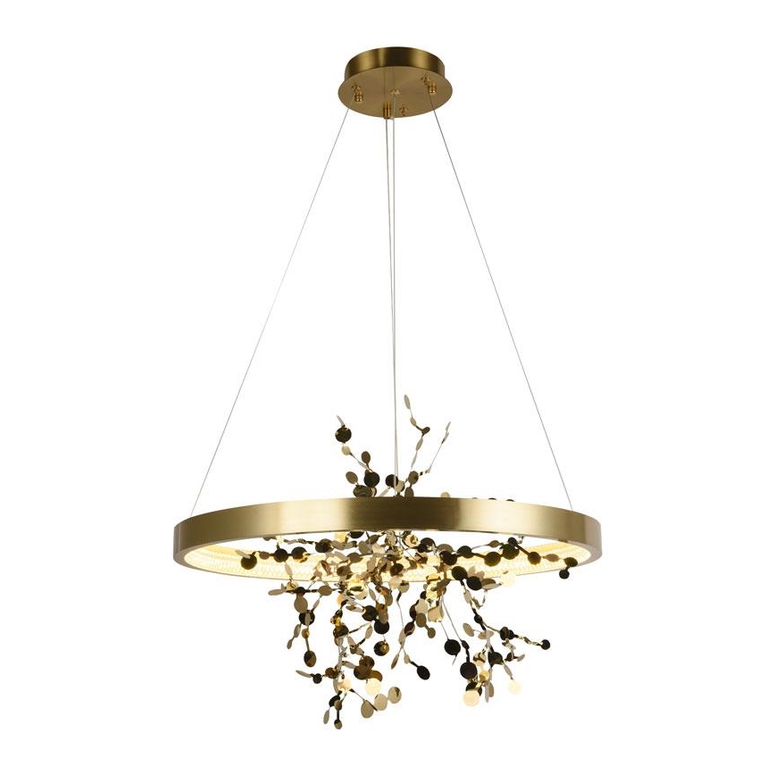 LED dimmbare Hängeleuchte an Seil LED/40W/230V 3000-6500K gold + Fernbedienung