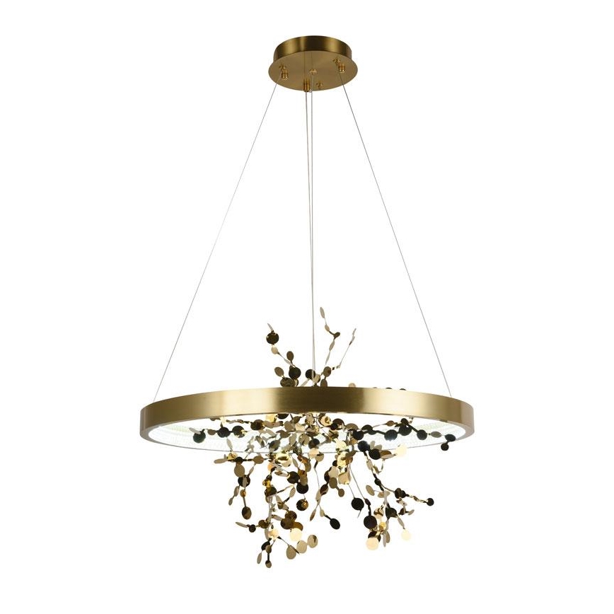 LED dimmbare Hängeleuchte an Seil LED/40W/230V 3000-6500K gold + Fernbedienung