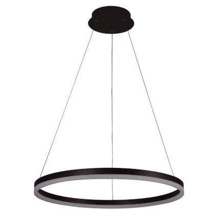 LED dimmbare Hängeleuchte an Kabel LED/42W/230V 3000-6500K Ø 60 cm + Fernbedienung