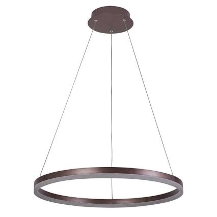 LED dimmbare Hängeleuchte an Kabel LED/42W/230V 3000-6500K Ø 60 cm + Fernbedienung